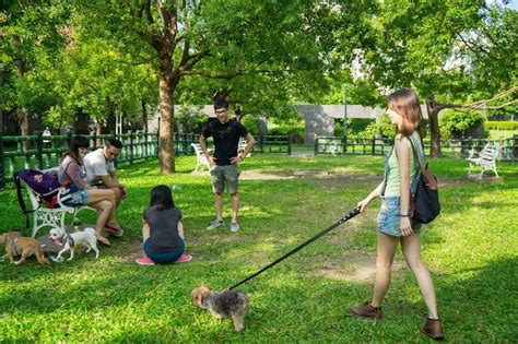 台灣養寵物人口|驚人！今年全台犬貓數量竟超過15歲以下幼年人口